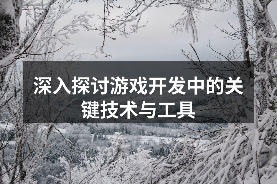 深入探讨游戏开发中的关键技术与工具