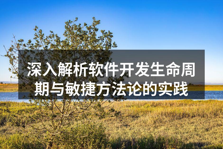 软件开发生命周期示意图